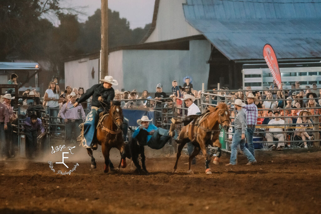 Steer wrestling 2