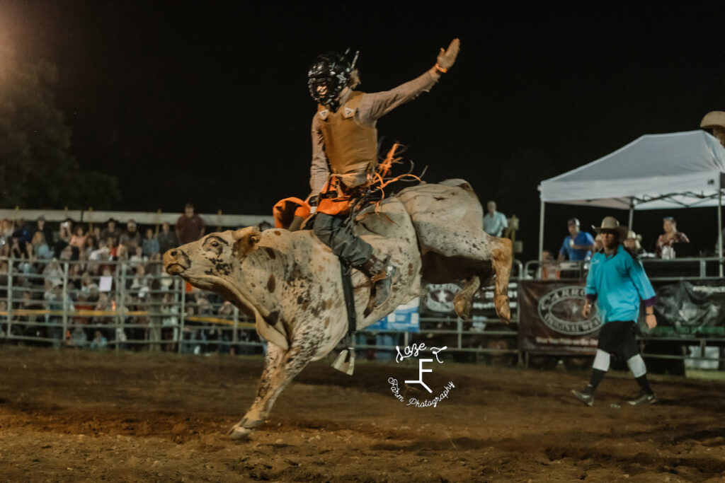 Bull Riding