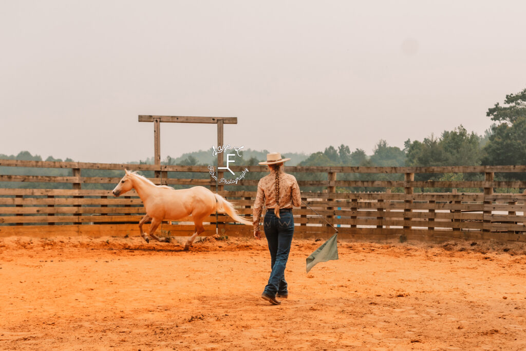 cowgirl working horse in round pen