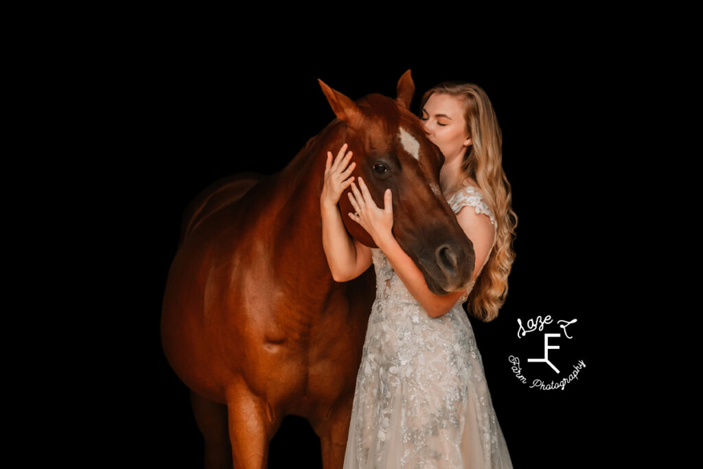 Morgan kissing horse 2 black background