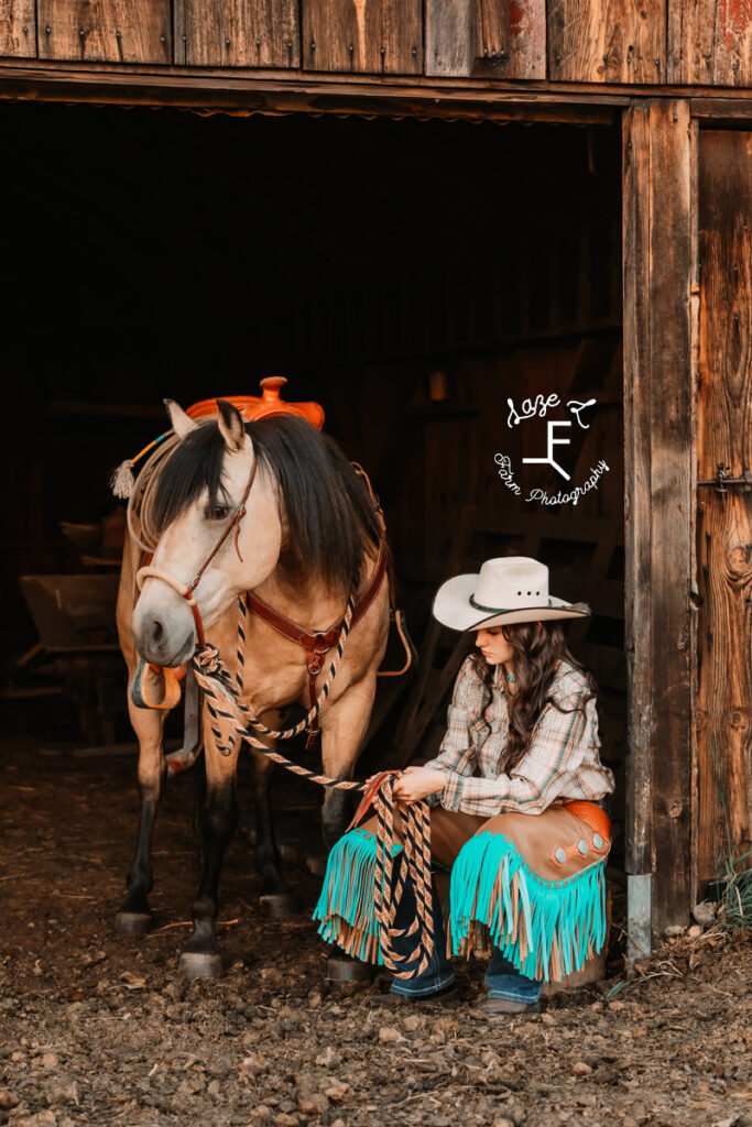 Buckskin and Dakota at the edge of the barn