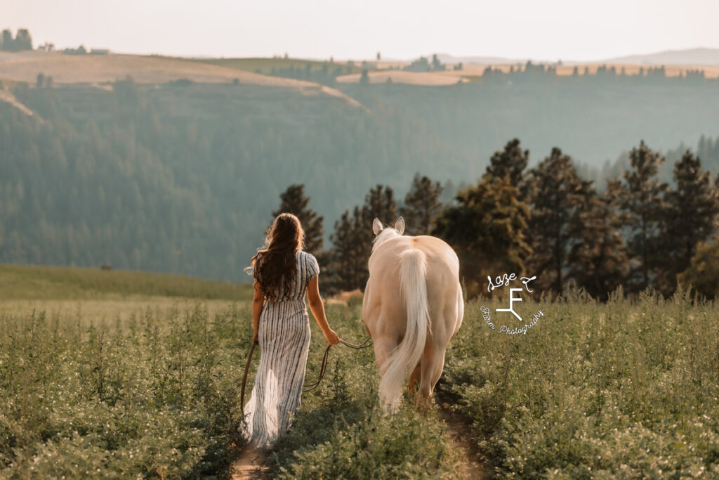 Tevis and Palomino horse walking away from camera in field