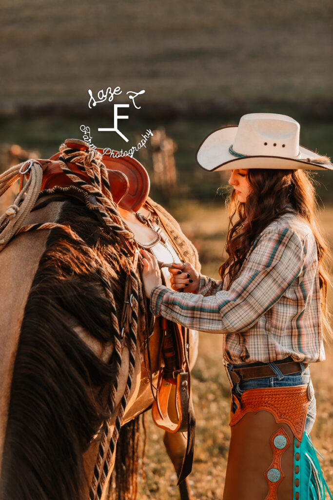 Dakota saddling horse