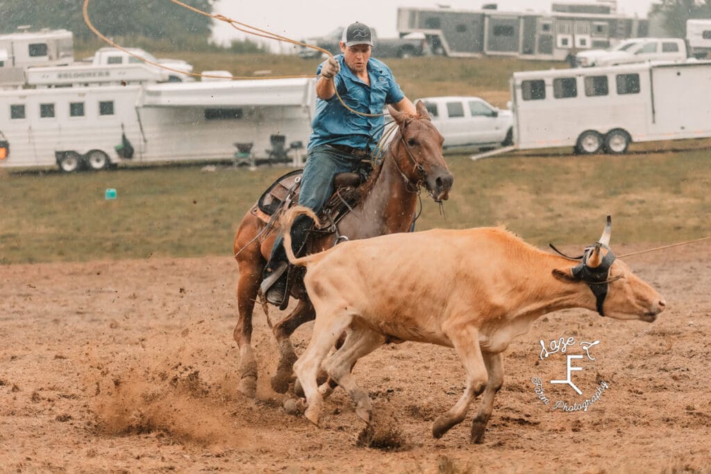 Team roper with cow