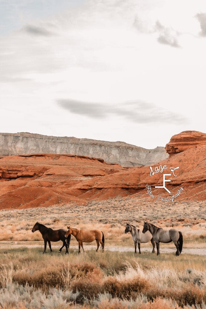 Pryor Mustangs group of 4