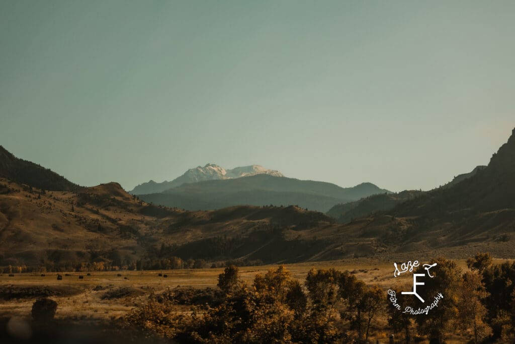 Yellowstone field and mountains