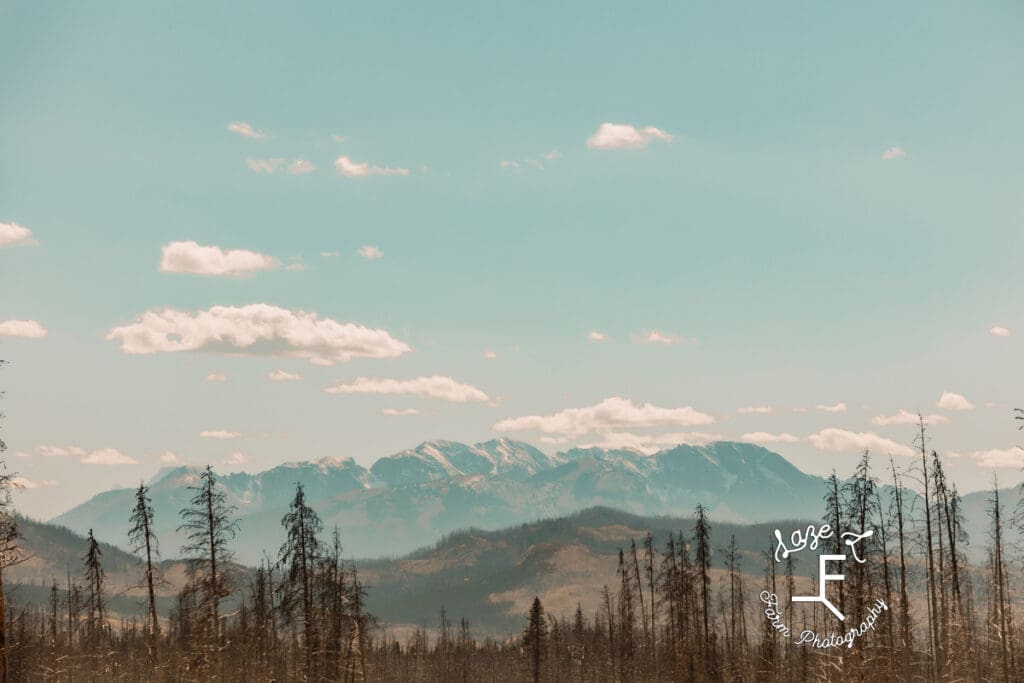 Yellowstone mountain views