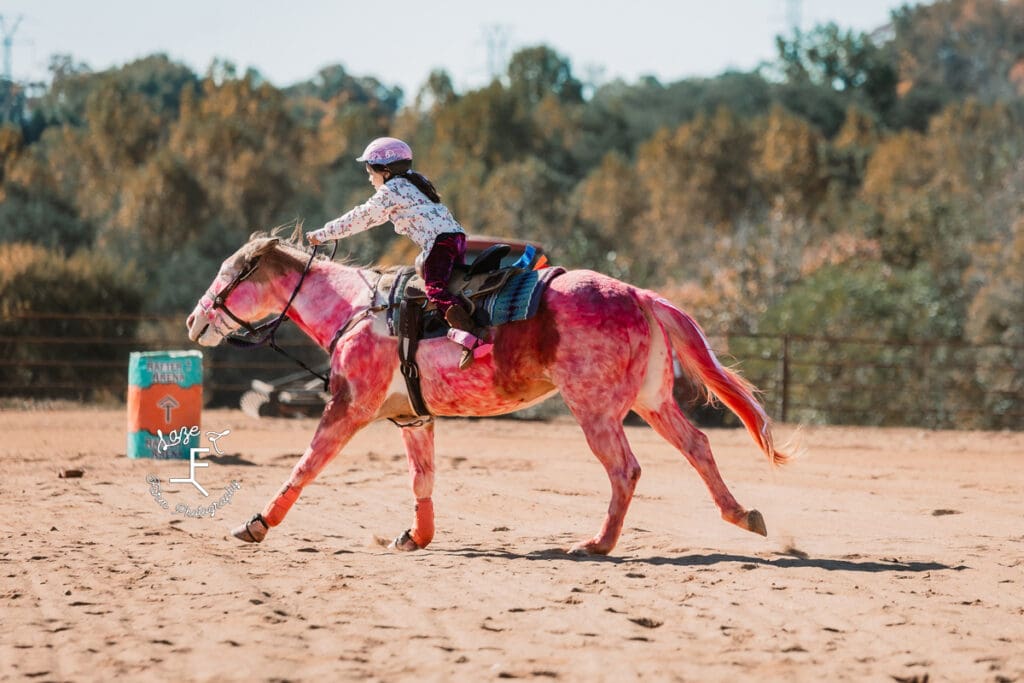 Rafter T Fun Show pink painted horse running