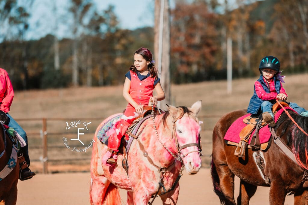 Rafter T Fun Show pink painted horse