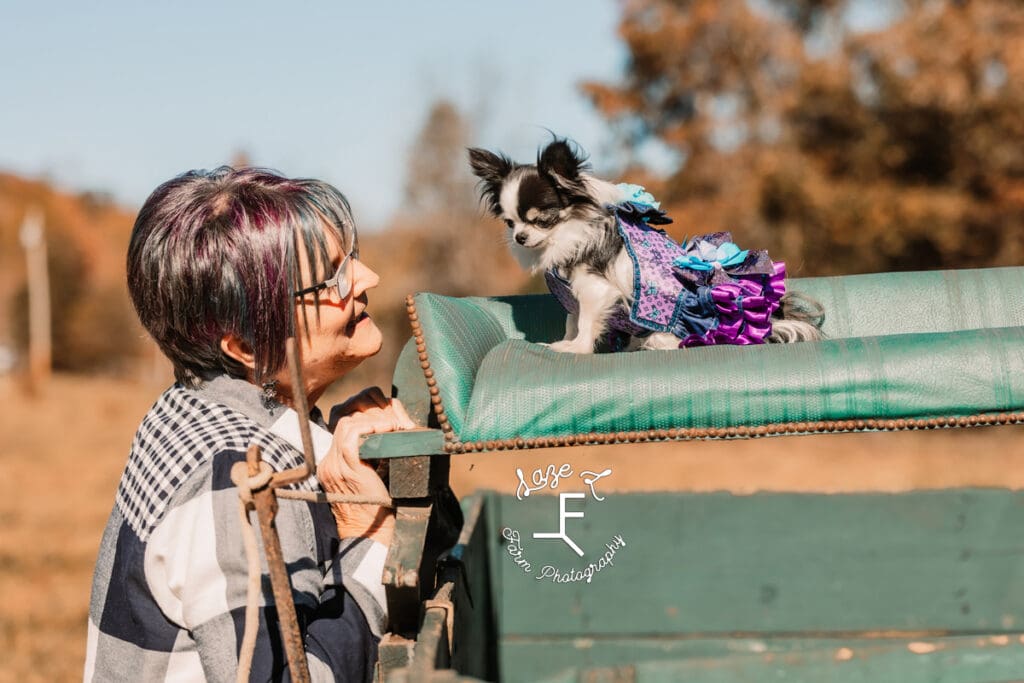 Christmas Minis Jeannie with Kiki on the wagon seat