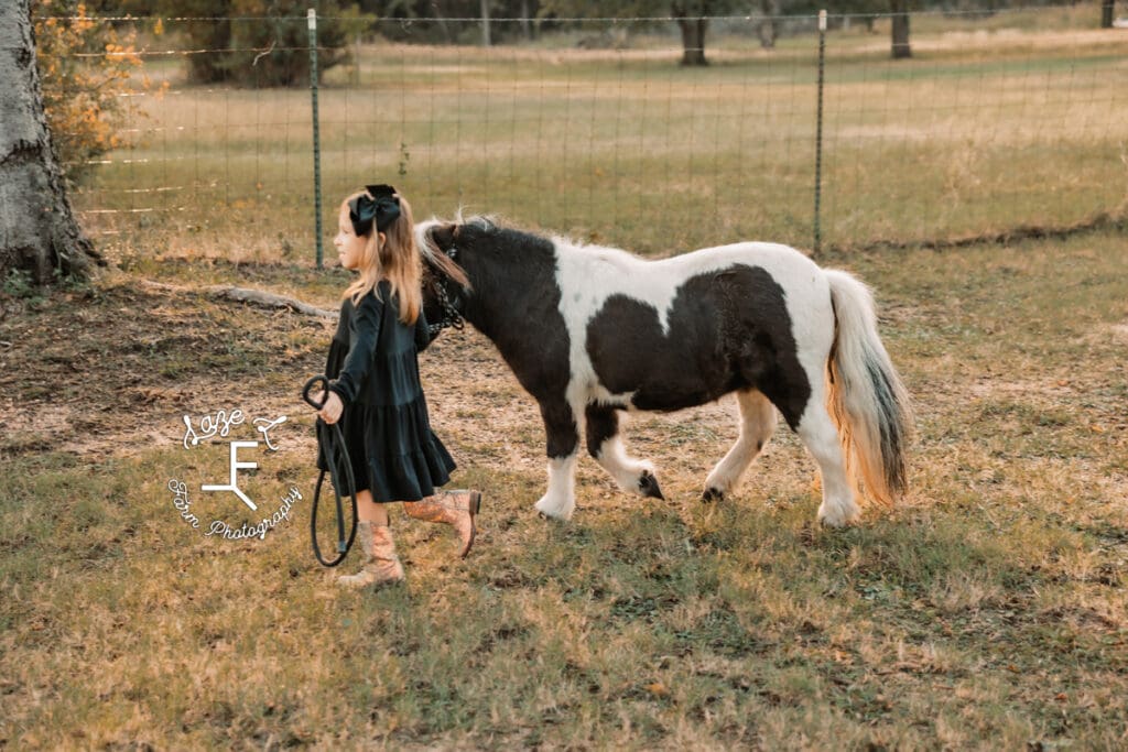 little girl walking pony