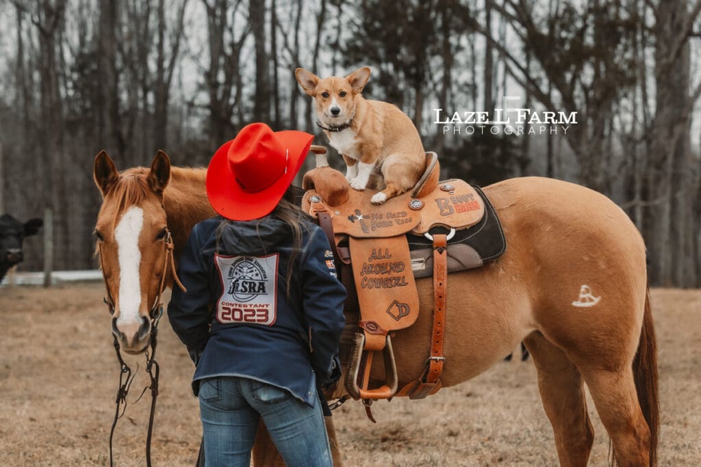 cowgirl with her dogs