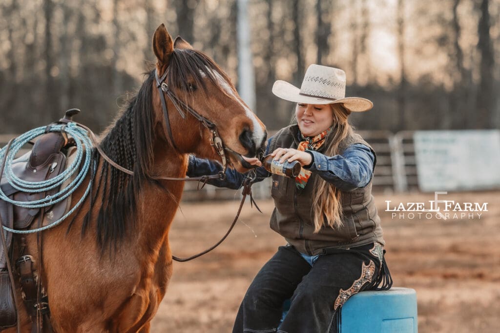 horse drinking a beer