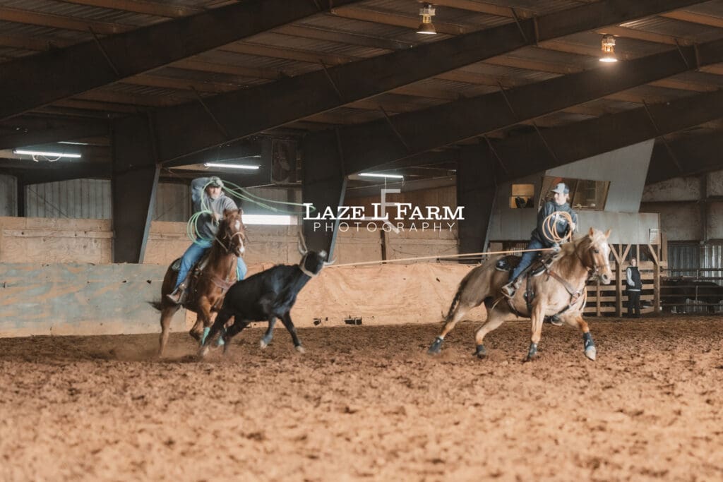 team roping