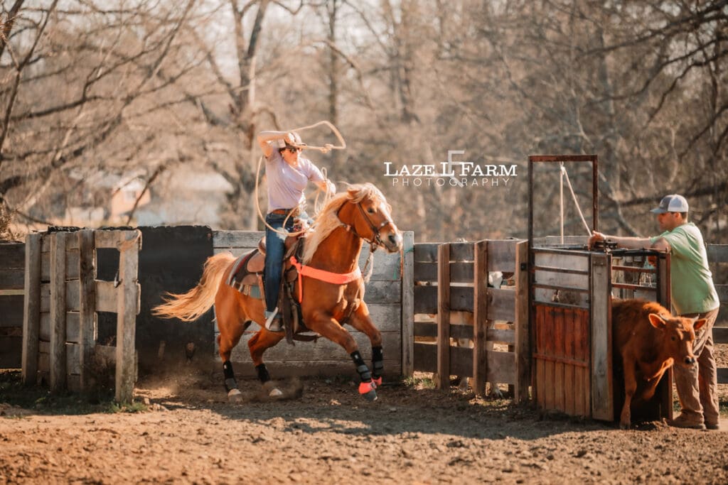 cowgirl breakaway roping