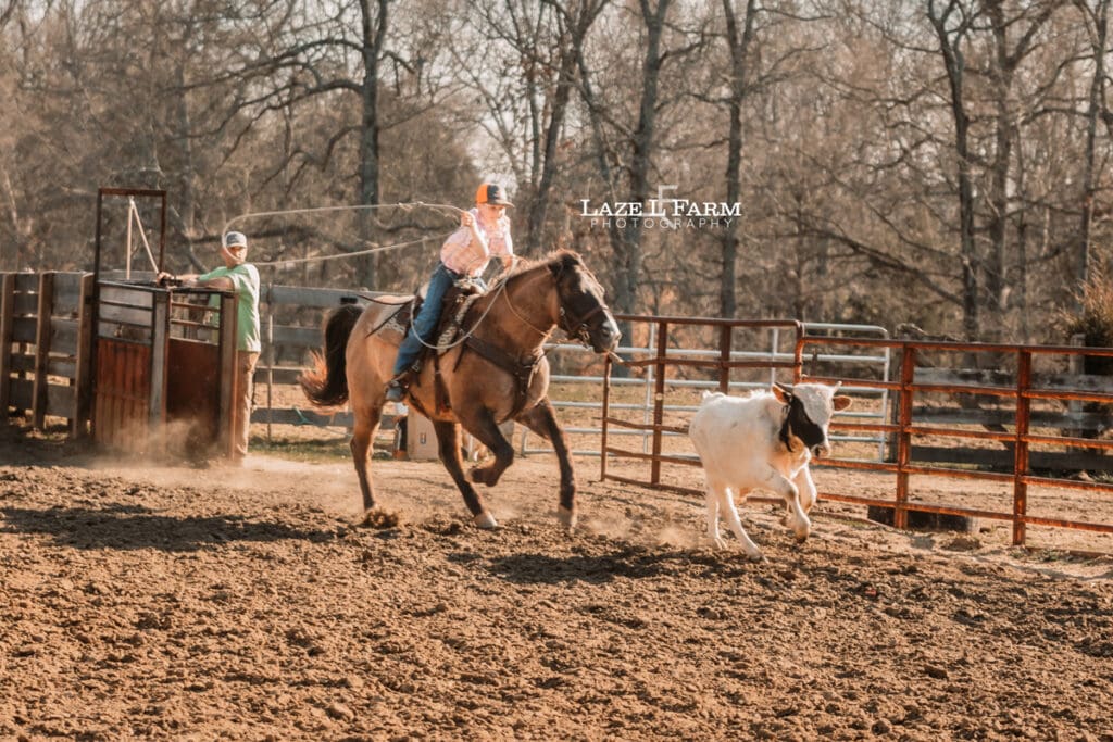 cowboy breakaway roping