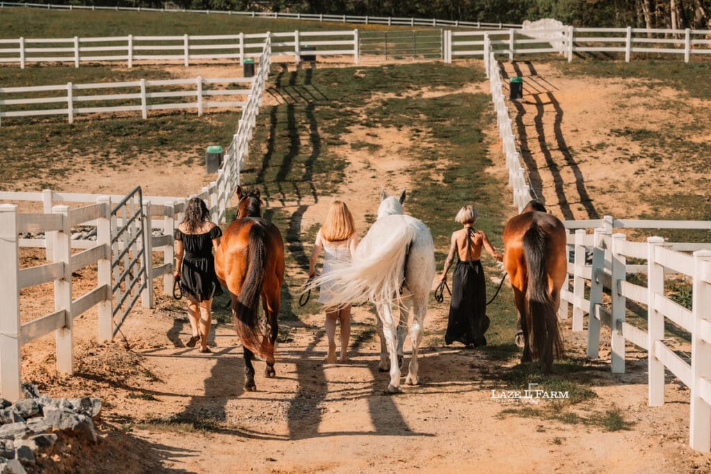 walking horses to the pasture