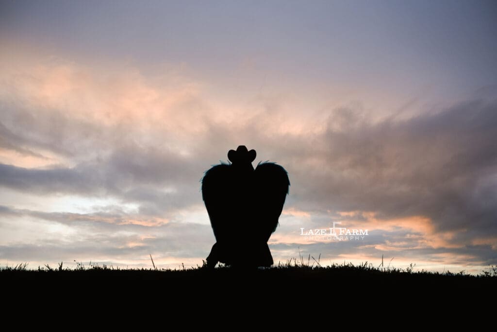 cowgirl wearing angel wings