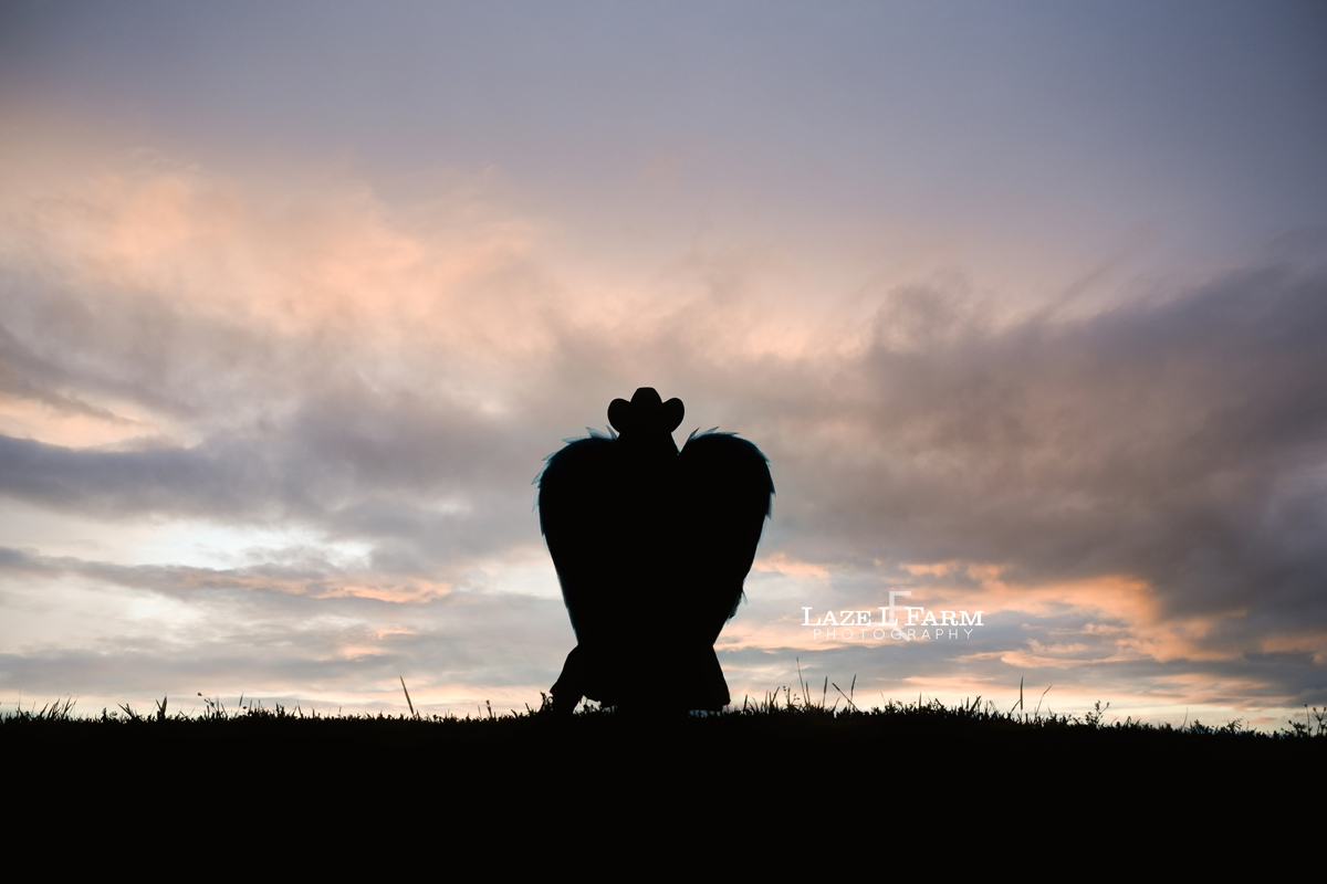 cowgirl wearing angel wings
