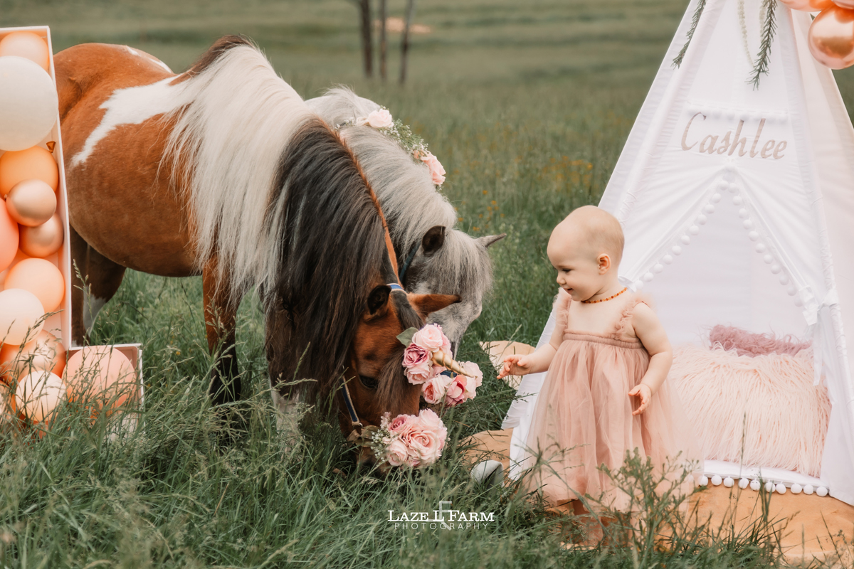ponies with a little girl for her 1st birthday photoshoot