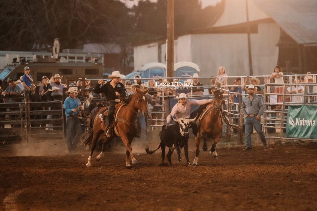 Steer Wrestling at the Cleveland Rodeo while Laze L Farm Photography takes pictures