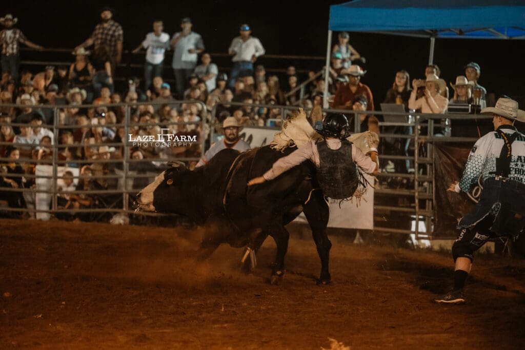 Bull riding at the Cleveland Rodeo with pictures by Laze L Farm Photography