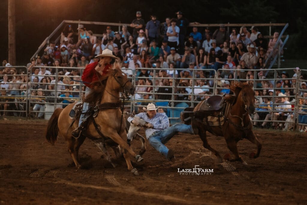 Steer Wrestling at the Cleveland Rodeo with pictures by Laze L Farm Photography