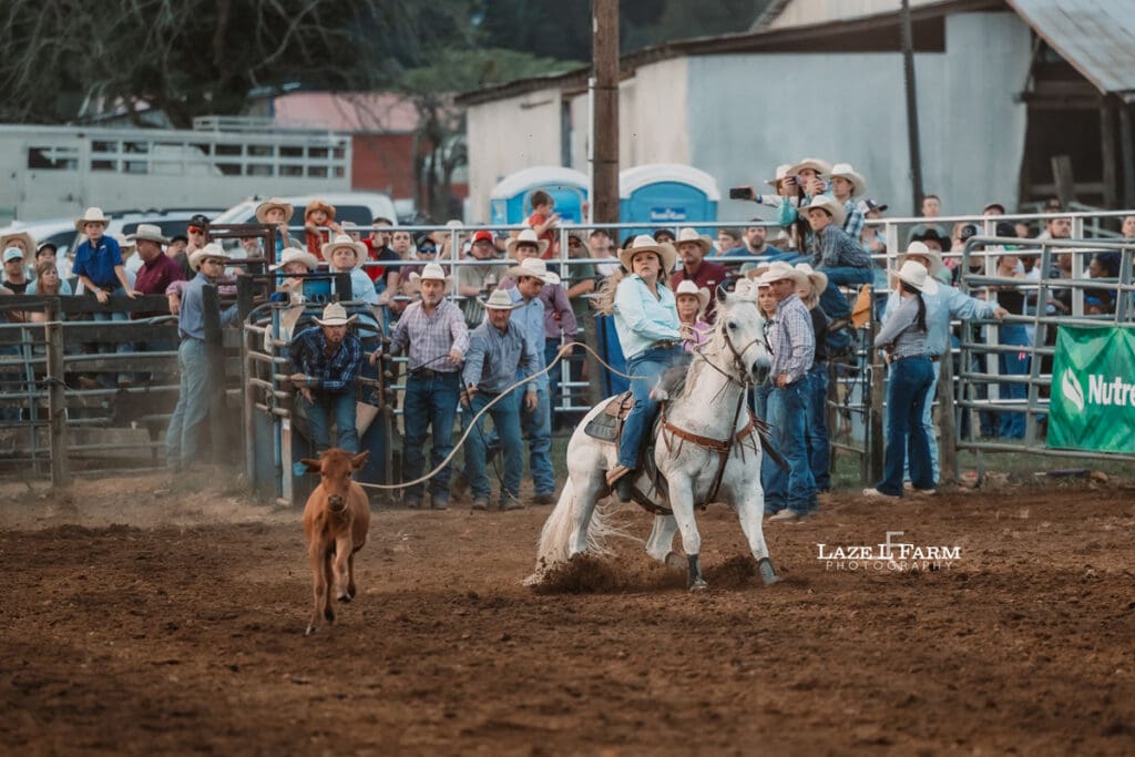 Cowgirl doing breakaway roping at the Cleveland Rodeo with pictures by Laze L Farm Photography